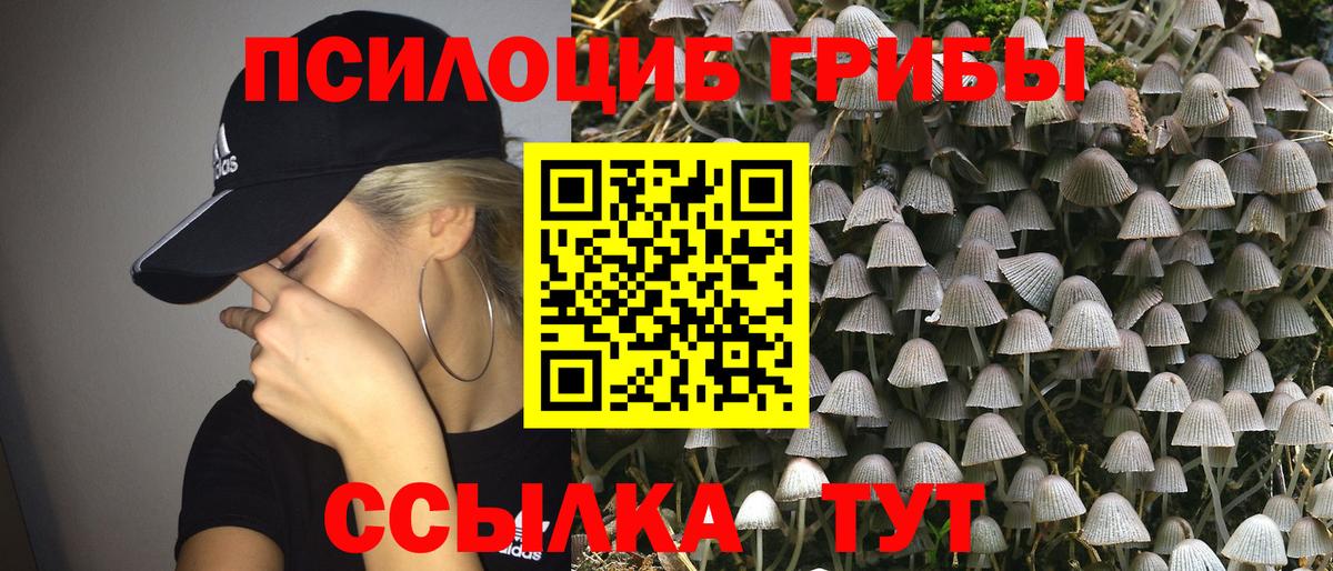 Псилоцибиновые грибы Magic Shrooms Серпухов